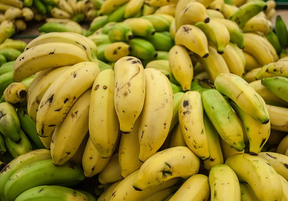 Pisang